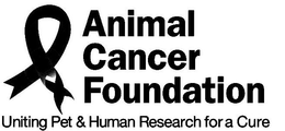 ANIMAL CANCER FOUNDATION UNITING PET & HUMAN RESEARCH FOR A CURE trademark
