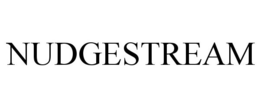 NUDGESTREAM trademark