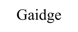 GAIDGE trademark