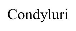 CONDYLURI trademark