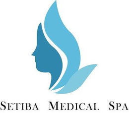 SETIBA MEDICAL SPA trademark