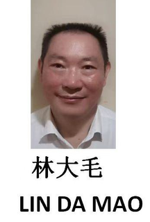 LIN DA MAO trademark