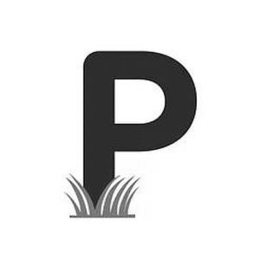 P trademark