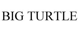 BIG TURTLE trademark