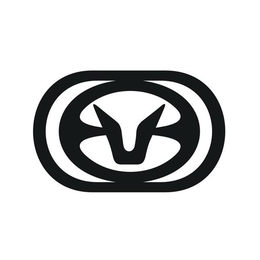 V trademark
