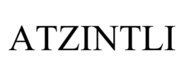 ATZINTLI trademark