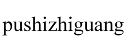 PUSHIZHIGUANG trademark