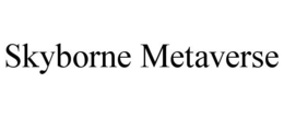 SKYBORNE METAVERSE trademark
