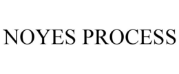 NOYES PROCESS trademark