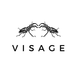 VISAGE trademark