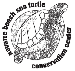 NAVARRE BEACH SEA TURTLE CONSERVATION CENTER trademark