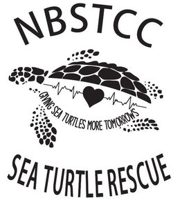 NBSTCC, GIVING SEA TURTLES MORE TOMORROWS,SEA TURTLE RESCUE trademark
