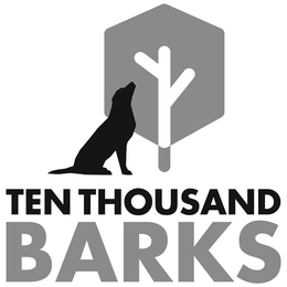 TEN THOUSAND BARKS trademark