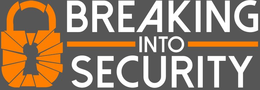 BREAKING INTO SECURITY trademark