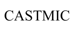 CASTMIC trademark