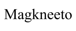 MAGKNEETO trademark