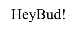 HEYBUD! trademark