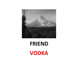 FRIEND VODKA trademark