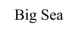 BIG SEA trademark
