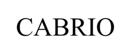 CABRIO trademark