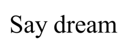 SAY DREAM trademark