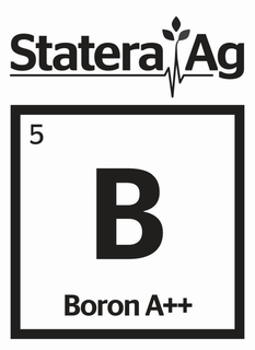 STATERA AG 5 B BORON A++ trademark