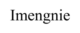 IMENGNIE trademark