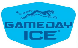 GAMEDAY ICE trademark