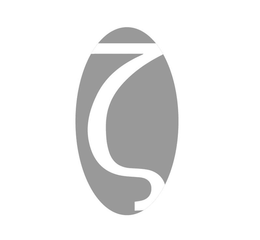Z trademark
