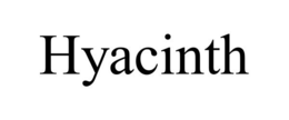 HYACINTH trademark
