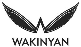 WAKINYAN trademark