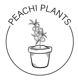 PEACHI PLANTS trademark