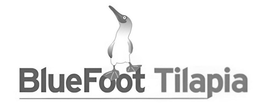BLUEFOOT TILAPIA trademark