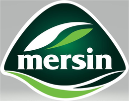MERSIN trademark