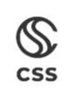 CSS CSS trademark