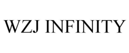 WZJ INFINITY trademark