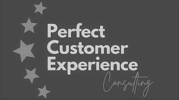PERFECT CUSTOMER EXPERIENCE CONSULTING trademark