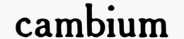 CAMBIUM trademark