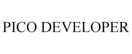 PICO DEVELOPER trademark