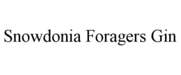 SNOWDONIA FORAGERS GIN trademark