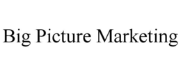 BIG PICTURE MARKETING trademark