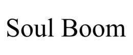 SOUL BOOM trademark