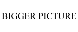BIGGER PICTURE trademark