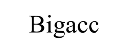 BIGACC trademark