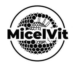 MICELVIT trademark