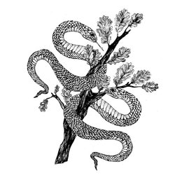 S trademark