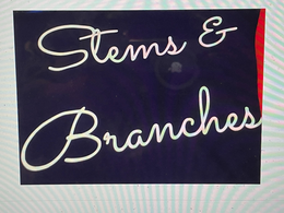 STEMS & BRANCHES trademark