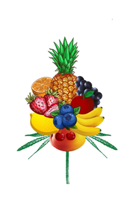 FRUITY TERPS trademark