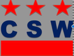 CSW trademark