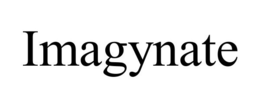 IMAGYNATE trademark